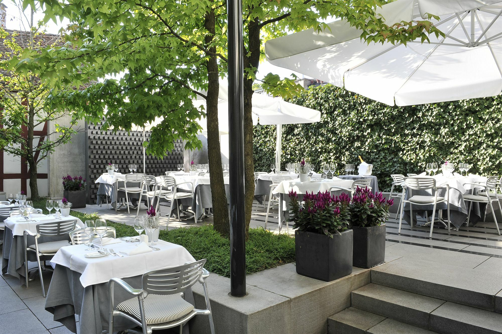 Widder Hotel - Zurichs Luxury Hideaway Restaurace fotografie